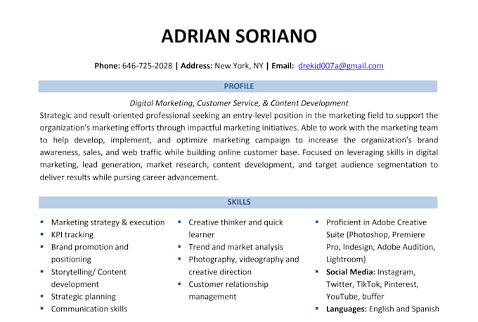 provide professional resume writing service